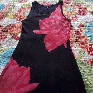 Express XS dress